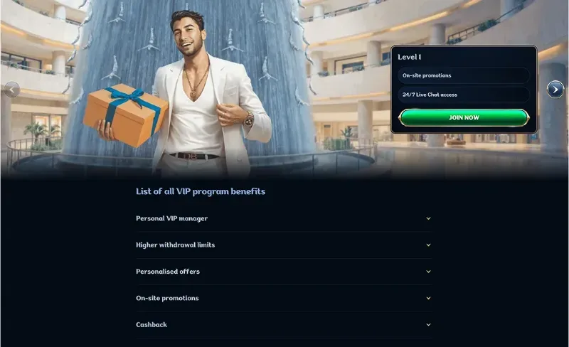 vipmillioner.webp